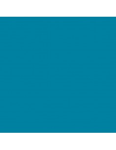 CARTULINA IRIS GUARRO...