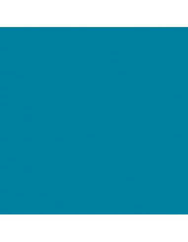 CARTULINA IRIS GUARRO CANSON 50X65 CM...