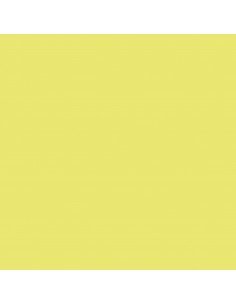 CARTULINA IRIS GUARRO...