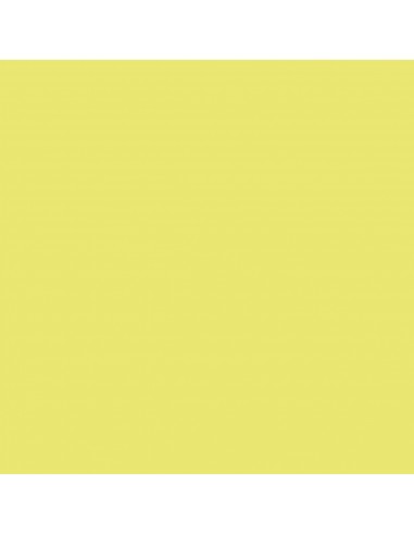 CARTULINA IRIS GUARRO CANSON 50X65 CM...