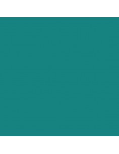 CARTULINA IRIS GUARRO...