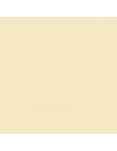 CARTULINA IRIS GUARRO CANSON 50X65 CM...