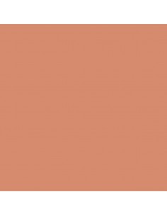 CARTULINA IRIS GUARRO...