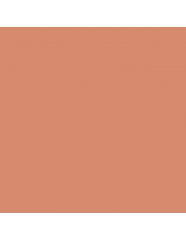 CARTULINA IRIS GUARRO CANSON 50X65 CM...