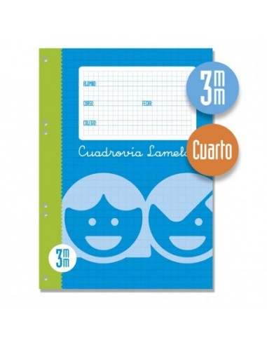 RECAMBIO LAMELA CUARTO CUADROVIA 3X3...