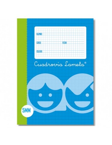 RECAMBIO LAMELA CUARTO CUADROVIA 5X5...