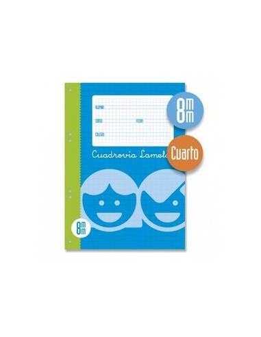 RECAMBIO LAMELA CUARTO CUADROVIA 8X8...