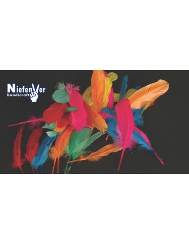 PLUMAS COLORES NIEFENVER INDIO 50 6...